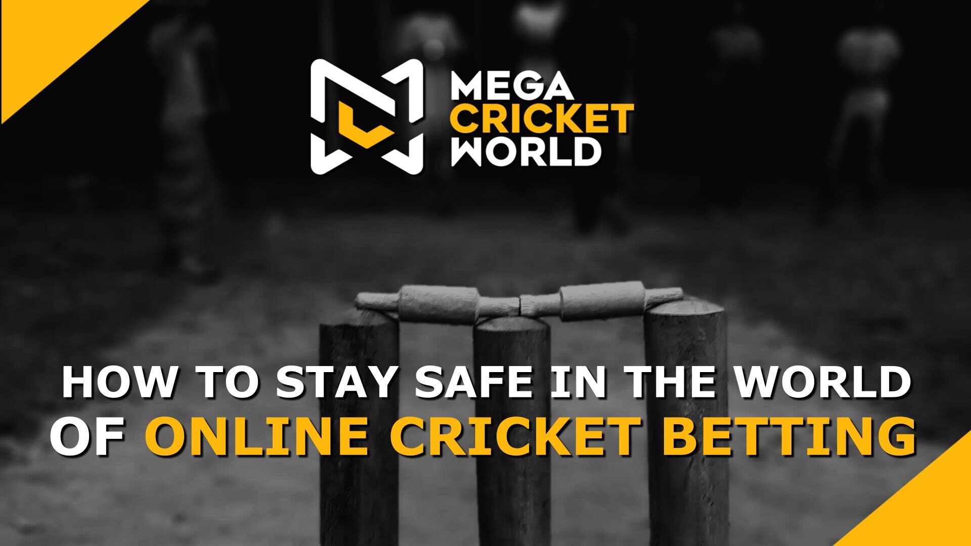 cricket betting websites